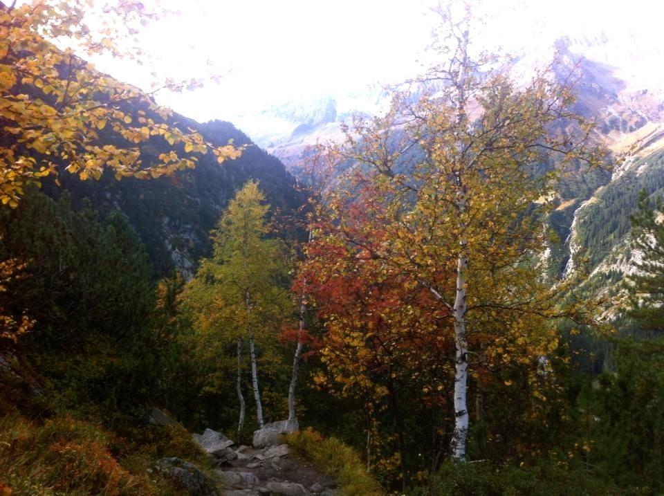 Ferienwohnungen Sonklar Fulpmes Esterno foto
